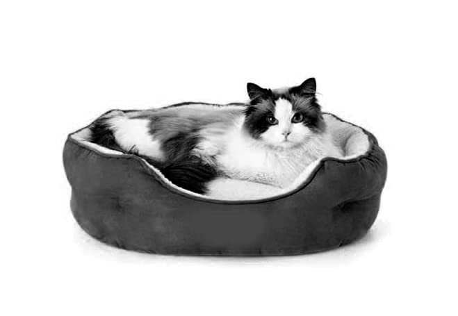 Cutepups (XL Size Round Shap #Dog & Cat Bed (Black/Cream) (B0BX75CWZ4) Amazon Price History, Amazon Price Tracker