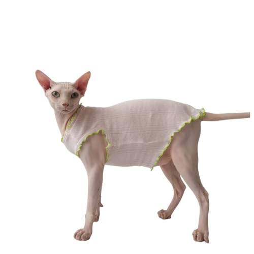 UGYMSIA ybg L m[X[uxXg єL t  ^ȃxXg xr[n u₩ŒʋC XtBNX єLf{ ɗD_炩 (sN,L)