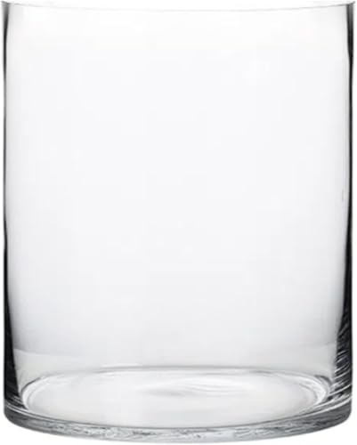 IWEJ ~`KXԕr  ^ NX^KX /ԗp ͔| CeA rOItBXp (25*30cm) [sAi]