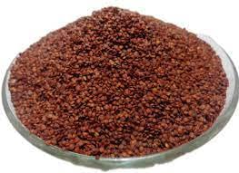 Agrogreen Lajwanti Seeds | Lajwanti Beej | Sensitive Plant Seeds | Chui Mui Seeds - (100 gm) - Image 2 thumbnail