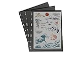 PCCB MINGT 10Pcs Standard 9-Hole Double-Sided Album Inner Sheets Card Stamp Banknote Collection Album Inserts Pages For Coin Collecting And Supplies (Black, Single Pocket)