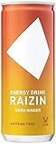 ライジンハードジンジャー (RAIZIN HARD GINGER) 245ml×30缶