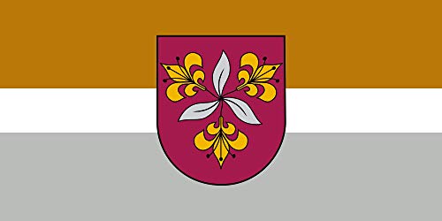 Drapeau Vecumnieku novads grand format pour mât extérieur - 2