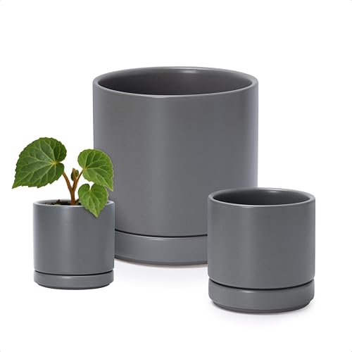D'vine Dev 3-Pack Ceramic Pots with Saucers, 3/4/6 in, Grey, 94-T-S-3