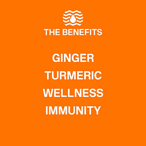 Wet Hydration, 0 Calorie, Functional Hydration Beverage, Orange Mango Ginger Turmeric (Pack Of 12) (Packaging May Vary) - Flavored Water, Sugar-Free, No Artificial Ingredients, Aloe Vera Vitamin D, Electrolytes For Replenishment, Antioxidants, Zero Calories #TOP2