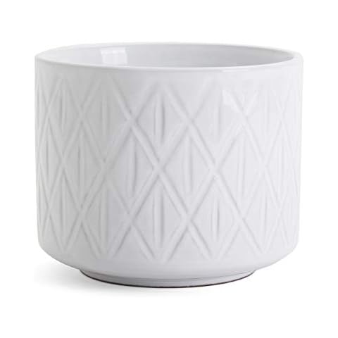 Belari Ceramic Planter - Indoor Planters/Outdoor Planters - White Planter - Modern Planter - Plant Pot Flower Pot - Terra Cotta Pot - Succulent Pots for Succulent Plants (Medium) Cover