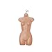 Produktbild ShopDirect Weiblicher Torso für Bademode, Damentorso, halbplastisch* hinten offen, hautfarben, B40 x H70 cm, Kunststoff, mit Kleiderbügelhaken