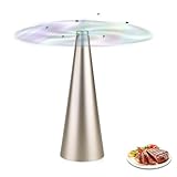 mizikuu Fliegenwedler, Insekten Ventilator USB Tragbarer Fliegenvertreiber Mückenventilator Tisch Batteriebetrieb Fliegen Mücken Wespen vertreiben Ventilator für Küche, Restaurants, Terrasse, Garten