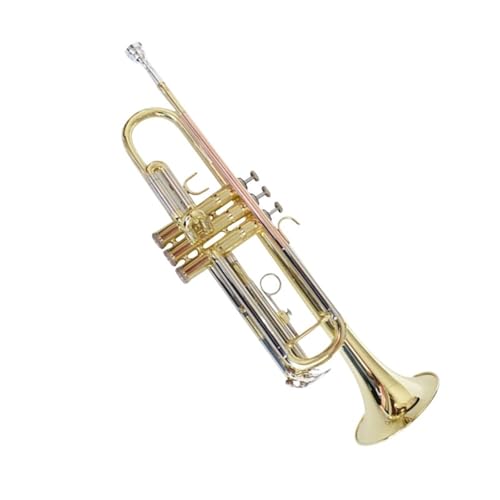 Trompeta En Si Bemol Instrumento Vario De Cobre Blanco Trompeta
