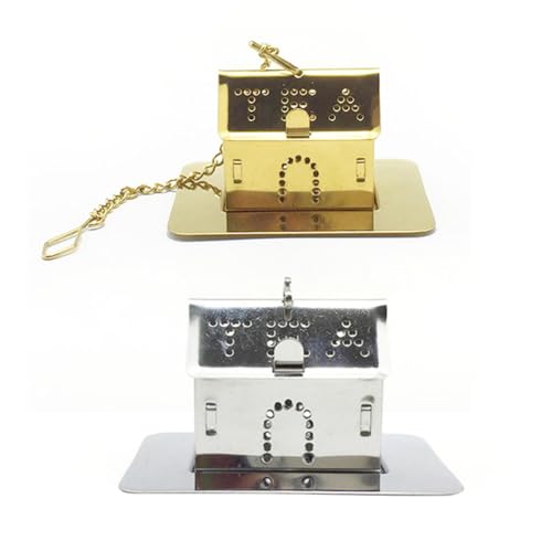 TOPPERFUN 2 pièces Infuseur à Thé Acier Inoxydable Forme de Maison Filtre Passoire Réutilisable pour Thé Vrac Accessoires Créatifs Finition Argentée et Dorée