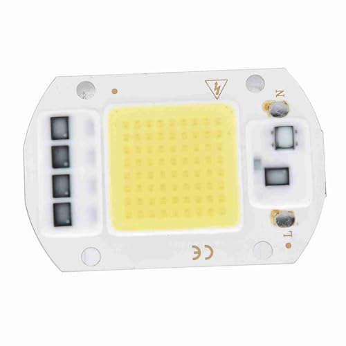 Eacam Chip LED de Alta Potencia, 100 W, Frío, Fuente de Luz COB de Alto Voltaje con Chip LED de 220 V para Uso en Interiores y Exteriores, con Sensor para Protección contra