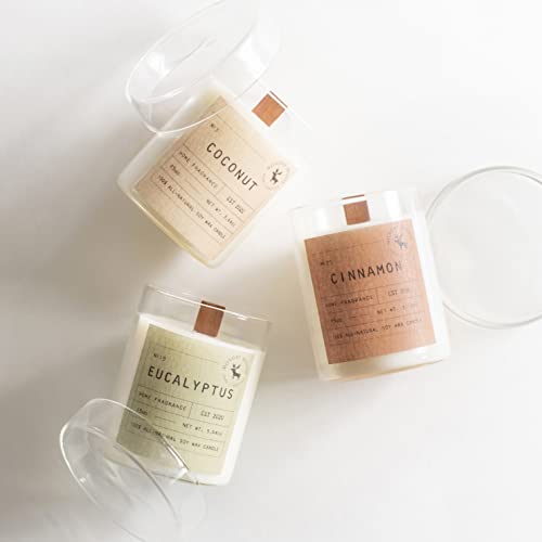 Monday Moose Scented Candle Gift Set, 5.64Oz Each, 3-Pack All-Natural Soy Wax Candle Set With Essential Oils For Home, Mom, Women, Birthday Gift (Coconut+Eucalyptus+Cinnamon, Small Jar) #TOP4