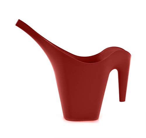 Mintra 1/2 Gallon Plant Watering Can, Indoor Outdoor Water Can fo...