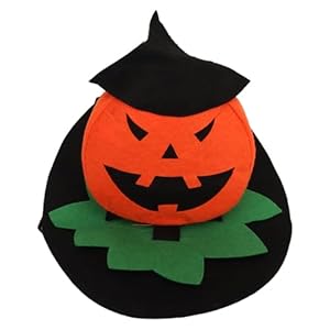 Cute and Fun Halloween Pet Clothes, Cat Costume Ideal for Halloween Party, Holiday Photograph and Dog Costume