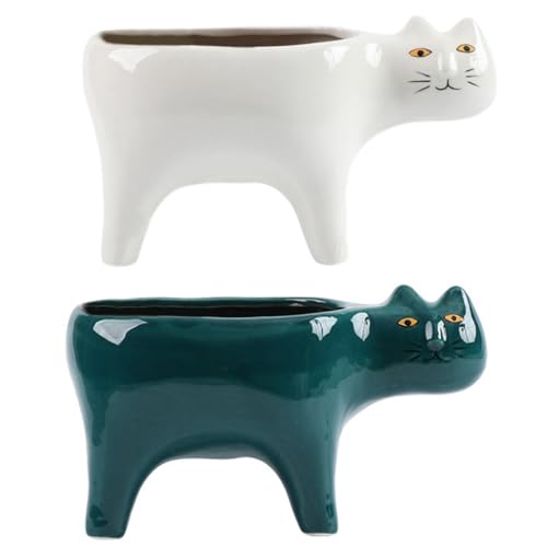 Cactus succulent pour le bureau pot de bonsaï chat en céramique robuste - 8