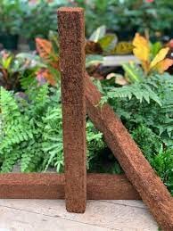 Natural Fern Plant Pole/Totem for Climbing for Orchid Hanging Planter, 10 Inches Approx. Pack of 5 (B09KTLZ1K6) Amazon Price History, Amazon Price Tracker