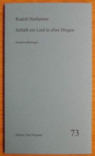 Schläft ein Lied in allen Dingen: Musikerzählungen (Heftreihe)