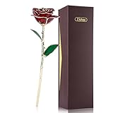 ZJchao 24K Red Rose Gifts for Her, Love Dipped Gold Real Rose Flower Preserved Eternal Christmas Anniversary Valentine's Day Present for Women/Wife/Girlfriend (Red)