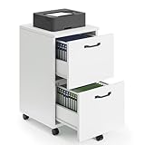 Sweetcrispy 2 Drawer Filing Cabinet White, Rolling Wood File Cabinets with Printer Stand...
