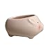 Cute Piglet Flower Pot -- Mini Ceramic Planter for Succulents -- Pink