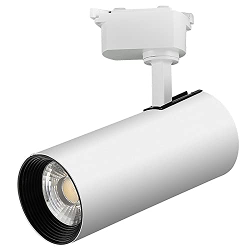 Éclairage LED COB 30W blanc froid à intensité variable CRI85+