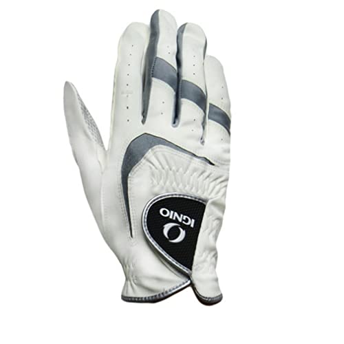 5Zbg COjI(IGNIO) StO[u E zCg IG-1G1325R Y 21 zCg