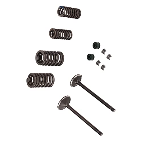 Kit de reconstrução de válvula cilíndrica, resistente ao clima, alta dureza, kit de válvulas de moto