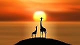 h&m giraffe @Grands cadeaux: de plus en plus de gens sont plus disposés à choisir nos puzzles en bois comme cadeaux pour leurs proches, enfants, parents, parents, collègues, amis, que ce soit Noël, Thanksgiving, la Saint-Valentin ou un anniversaire, un anniversaire ou d'autres bons jours.