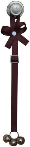with The Perfect Potty Training Solution DVD, Adjustable, Solid Forest Green