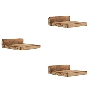 PHOENANCEE Lot de 3 Mini étagères murales flottantes carrées en Bois de Style Compact pour Petits Objets, étagère Murale à Suspendre pour Chambre à Coucher, Salon, 12,7 x 10 x 4 cm (Noir carbonisé)
