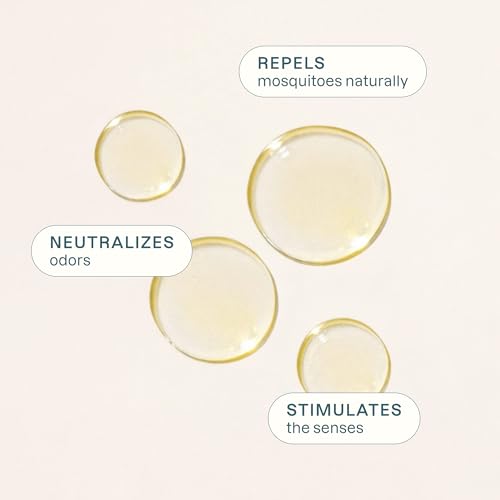 Image of Cliganic Organic Lemon Tea Tree Essential Oil, 100% Pure Natural for Aromatherapy | Non-GMO Verified