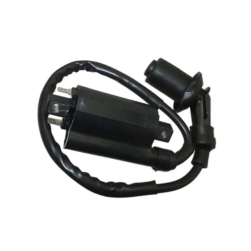 Bobina de encendido Linhai 260cc 300cc para ATV Quad y ciclomotores GY6