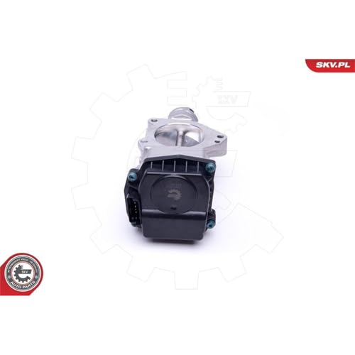 Tubulure de papillon ESEN SKV résout les pertes de puissance sur Citroën C4 C5 Jumpy