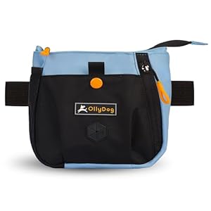 OllyDog-Backcountry-Day-Bag-Fanny-Pack-Dog-Treat-Pouch-Hands-Free-for-Training-Hip-Pack-with-Built-in-Poop-Bag-Dispenser-Removable-Waist-Belt-Clip-Maui-Blue - Cucciolini Doodles   OllyDog-Backcountry-Day-Bag-Fanny-Pack-Dog-Treat-Pouch-Hands-Free-for-Training-Hip-Pack-with-Built-in-Poop-Bag-Dispenser-Removable-Waist-Belt-Clip-Maui-Blue