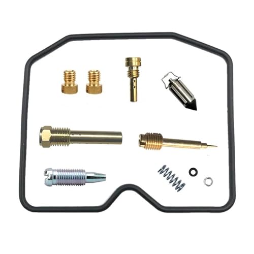 Kit réparation carburateur Suzuki Kingquad 400 redémarrez votre quad Eiger 4WD pour la piste