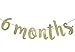 6 Months Banner Sign for 1/2 Birthday Garland Baby Shower Birthday Party Decor Cursive Bunting Decorations Gold Glitter