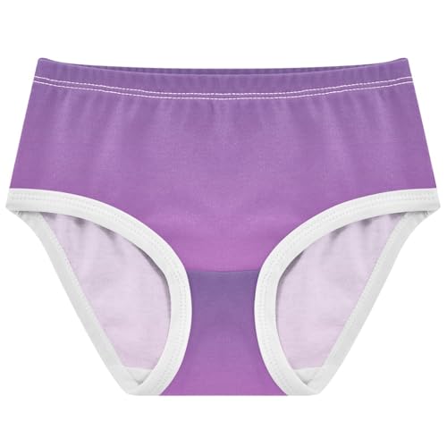 Joisal Cotton Toddlers Underwear Floral Violet Orchid Gradient Ombre Little Girl Panties Colorful Briefs Underpants 2t