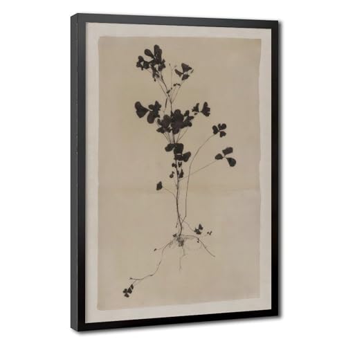 Vintage Botanical Canvas Wall Art Print Picture - Minimalist Poster