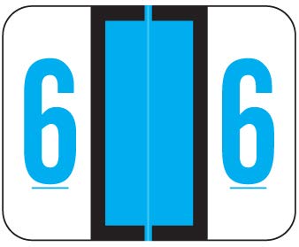Doctor Stuff - File Folder Labels, Number 6, Compatible with SMEAD BCCRN - TPNM Series Chart Stickers, Blue, 1" x 1-1/4", #6, 500/Roll