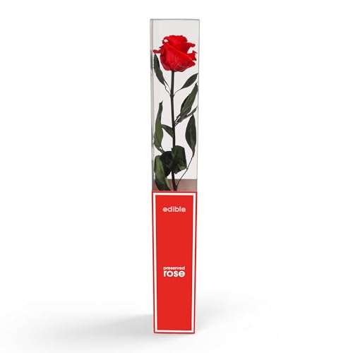 Edible Arrangements Preserved Rose in Gift Box – Real Single