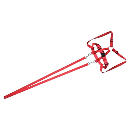 cpn[lX, Oł̎q̈Sm, qh~|[^ucpj Lv U s oRɍœK