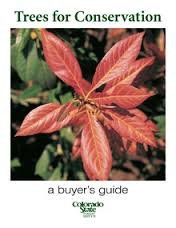 Pamphlet Trees for Conservation: a Buyer's Guide. Colorado State Forest Service Book