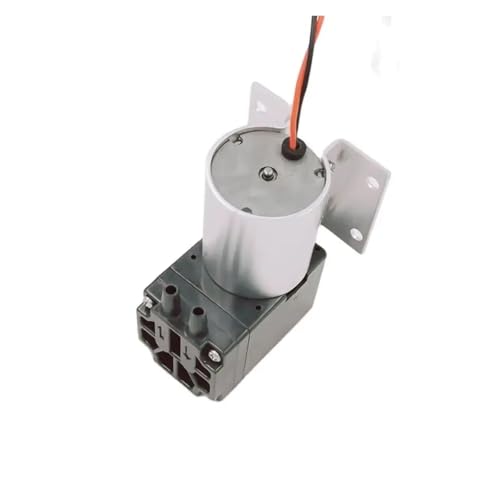 Bomba de agua SW524-30B-2900 12V DC miniatura 1