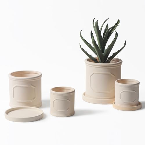 Pots de fleurs simples modernes pour sublimer une pièce vide sans encombrer - 5