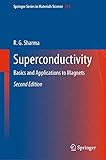 Superconductivity: Basics and Applications to Magnets (Springer Series in Materials Science, 214)
