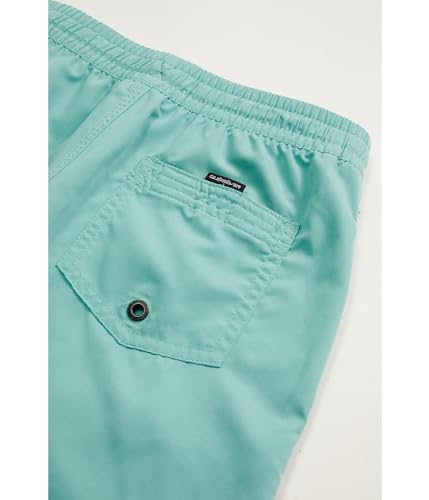 Quiksilver Boys Everyday Solid 12 Volley Boardshort Swim Trunk Youth2
