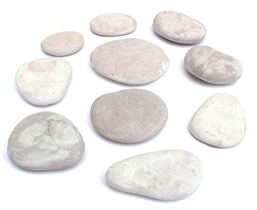 Capcouriers Rocks For Painting - Painting Rocks - Rocks For Rock Painting - 10 Rocks #TOP2