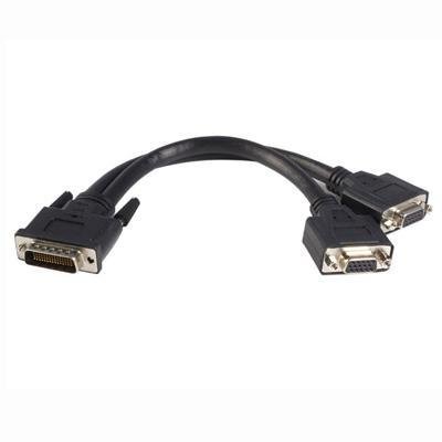 StarTech 8 inch DMS-59 to 2 DVI Y Cable