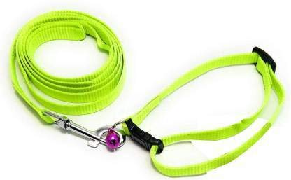 PSK PET MART Leash and Collar Set Suitable for Puppies of All Dog Breeds (Green, Small 15MM) (B08X3TH3P7) Amazon Price History, Amazon Price Tracker