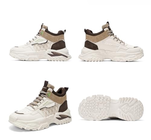 [Omina] JWAV[Y Y Xj[J[ nCJbg K oCNV[Y EH[LO ƌC AEghA oR h ~ ϖՐ lC gAbv ʊw ʋ s  y L ^C 풅p 4FWJ (x[W